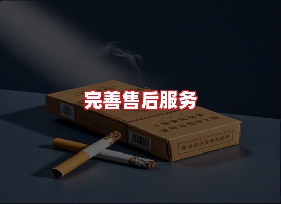 专业团队
